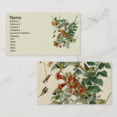 Hummingbird Ruby Throated Audubon Visitenkarte (Vorne/Hinten)