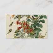 Hummingbird Ruby Throated Audubon Visitenkarte (Rückseite)