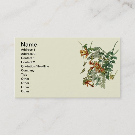 Hummingbird Ruby Throated Audubon Visitenkarte (Vorderseite)