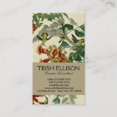 Hummingbird Ruby Throated Audubon Visitenkarte (Vorderseite)