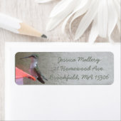 Hummingbird Rücksendeadresse (Insitu)