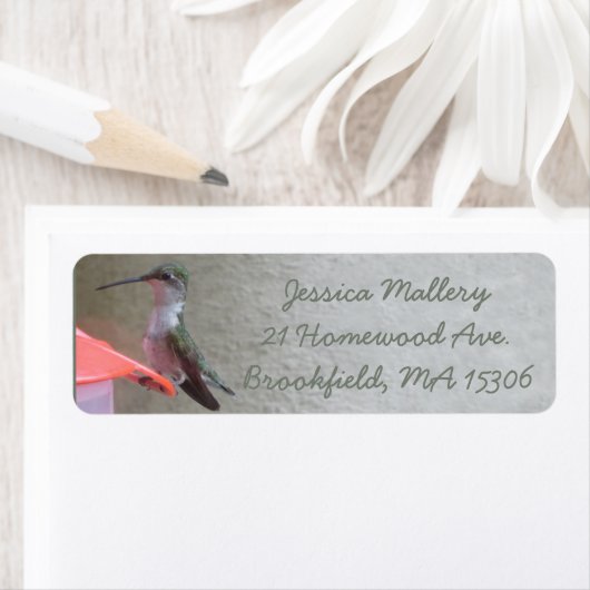 Hummingbird Rücksendeadresse (Insitu)