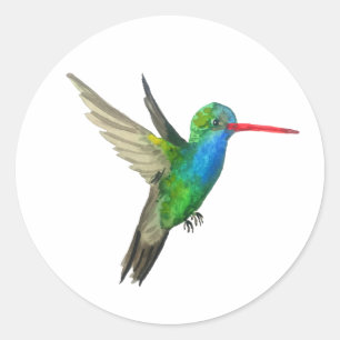 Hummingbird Runder Aufkleber