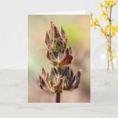 Hummingbird Sage Karte (Gelbe Blume)