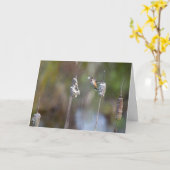 Hummingbird sammeln Cattail Notecard Karte (Gelbe Blume)