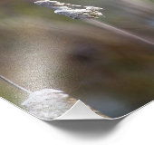 Hummingbird sammelt den Cattail Fluff Fotodruck (Ecke)