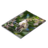 Hummingbird Sanctuary Professional Photography Notizblock (Linke Seite)