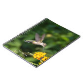 Hummingbird Sanctuary Professional Photography Notizblock (Linke Seite)