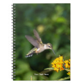 Hummingbird Sanctuary Professional Photography  Notizblock (Vorderseite)
