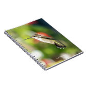 Hummingbird Sanctuary Professional Photography Notizblock (Rechte Seite)