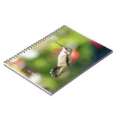 Hummingbird Sanctuary Professional Photography Notizblock (Linke Seite)