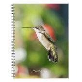Hummingbird Sanctuary Professional Photography Notizblock (Vorderseite)