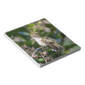 Hummingbird Sanctuary Professional Photography Notizblock (angewinkelt)