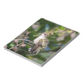 Hummingbird Sanctuary Professional Photography Notizblock (Rotiert)