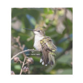 Hummingbird Sanctuary Professional Photography Notizblock (Vorderseite)