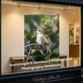 Hummingbird Sanctuary Professional Photography  Notizblock