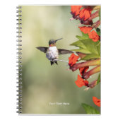 Hummingbird Sanctuary Professional Photography Notizblock (Vorderseite)