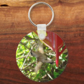 Hummingbird-Schlüsselanhänger Schlüsselanhänger (Vorderseite)