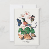 Hummingbird Seashell Vintage Kunstkunst Dankeskarte (Vorderseite)