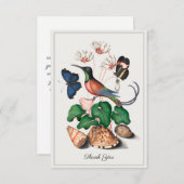 Hummingbird Seashell Vintage Kunstkunst Dankeskarte (Vorne/Hinten)