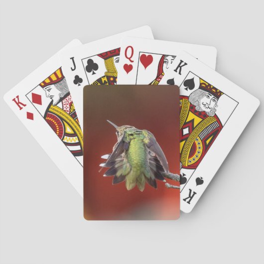 Hummingbird Shuffle Spielkarten (Rückseite)