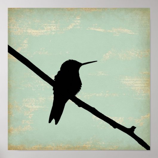 Hummingbird Silhouette im Hintergrund Poster (Vorne)