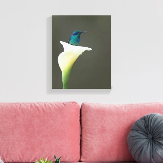 Hummingbird sitzt in einer Calla Lilly Leinwanddruck (Insitu (Wohnzimmer))