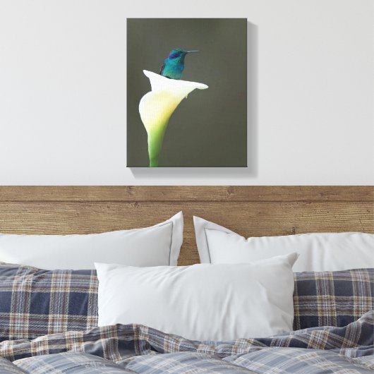 Hummingbird sitzt in einer Calla Lilly Leinwanddruck (Insitu (Schlafzimmer))