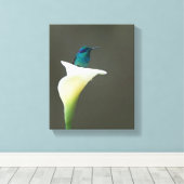 Hummingbird sitzt in einer Calla Lilly Leinwanddruck (Insitu (Holzboden))