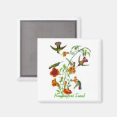Hummingbird Social Magnet (Vorderseite/Rückseite)