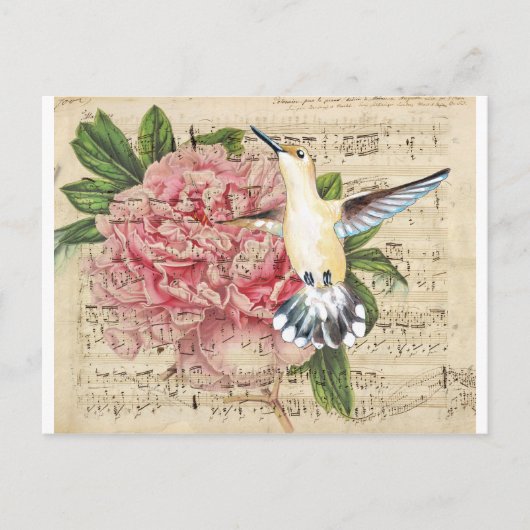 Hummingbird Song Postkarte (Vorderseite)