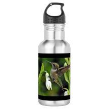 Hummingbird Stainless Steel Water Bottle