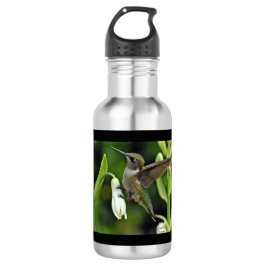 Hummingbird Stainless Steel Water Bottle Edelstahlflasche