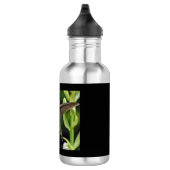 Hummingbird Stainless Steel Water Bottle Edelstahlflasche (Rechts)