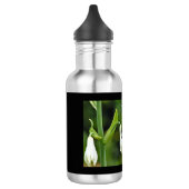 Hummingbird Stainless Steel Water Bottle Edelstahlflasche (Links)