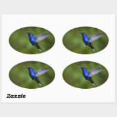 HUMMINGBIRD STICKER (Blatt)