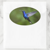 HUMMINGBIRD STICKER (Tasche)