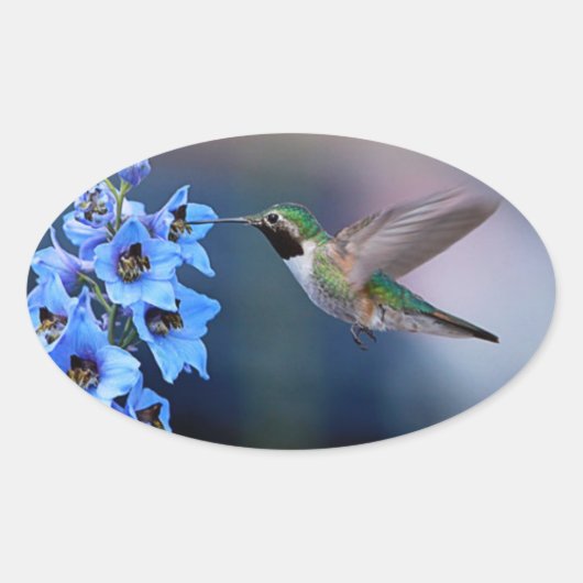 HUMMINGBIRD STICKERS (Vorderseite)