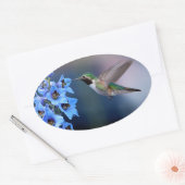 HUMMINGBIRD STICKERS (Umschlag)