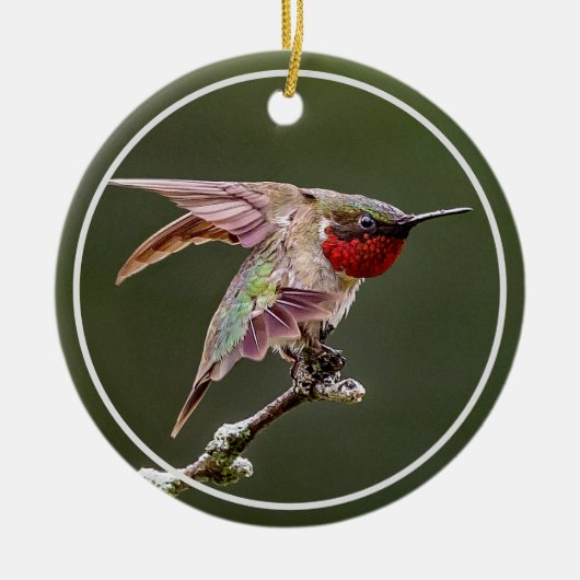 Hummingbird Stretches Keramik Ornament (Vorne)