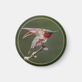 Hummingbird Stretches Magnet (Vorne)