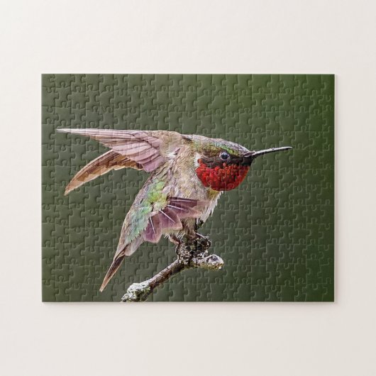 Hummingbird Stretches Puzzle (Horizontal)