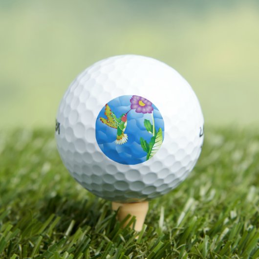 Hummingbird: Stylized Golfball (Insitu T-Shirt)