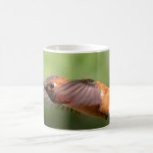 Hummingbird - Tasse (Mittel)