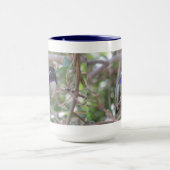 Hummingbird-Tasse Tasse (Zentrum)