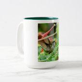 Hummingbird-Tasse Zweifarbige Tasse (Vorderseite Links)