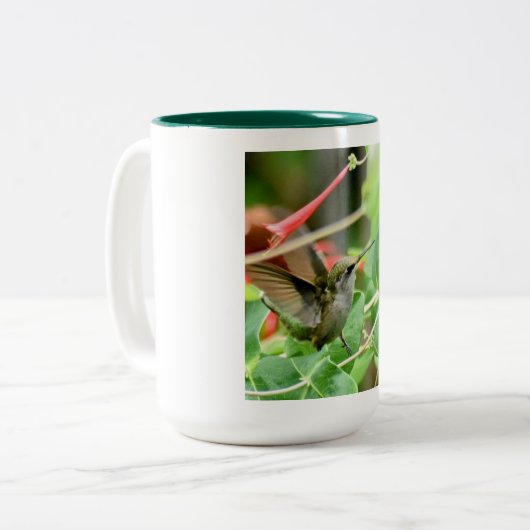 Hummingbird-Tasse Zweifarbige Tasse (Vorderseite Links)