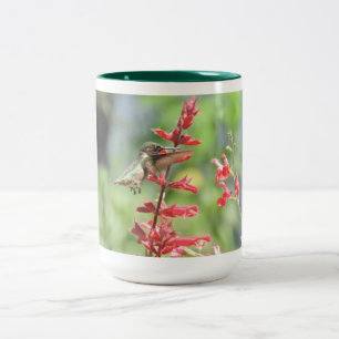 Hummingbird-Tasse Zweifarbige Tasse