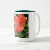 Hummingbird-Tasse Zweifarbige Tasse (VorderseiteRechts)