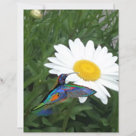 Hummingbird themed Scrapbook paper 